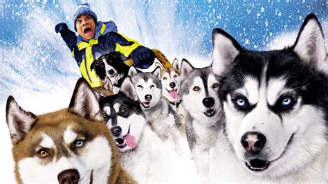 When a miami dentist inherits a team of sled dogs, he's got to learn the trade or lose his pack to a crusty mountain man. Snow Dogs