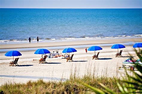 16 Top Rated Attractions And Things To Do On Hilton Head Island Sc