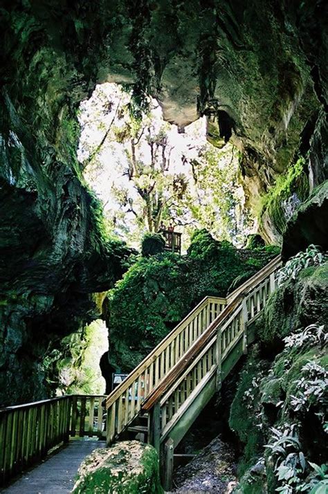 Waikato Waitomo Destination Guide New Zealand Hamilton