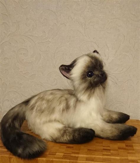 Siamese Cat Toy Stuffed Cat Teddy Cat Realistic Cat Kitten Toy By