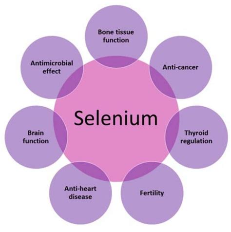 What Is Selenium And Why Should You Learn Selenium Everything You