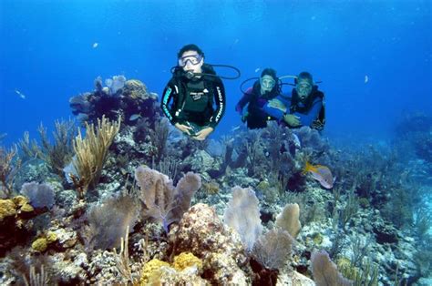Bahamas Cruise Excursions Nassau Discover Scuba Diving 181us
