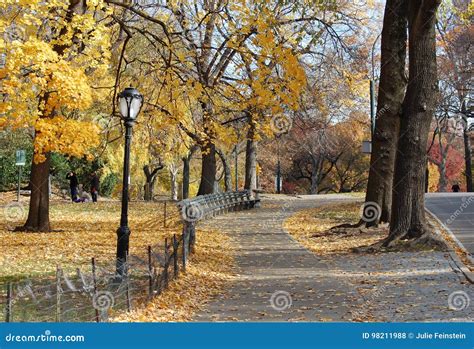 Autumn Central Park Stock Photo Image Of Park Foliage 98211988