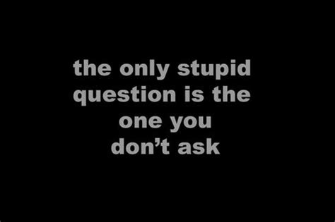 The Only Stupid Question Is The One You Dont Ask Wise