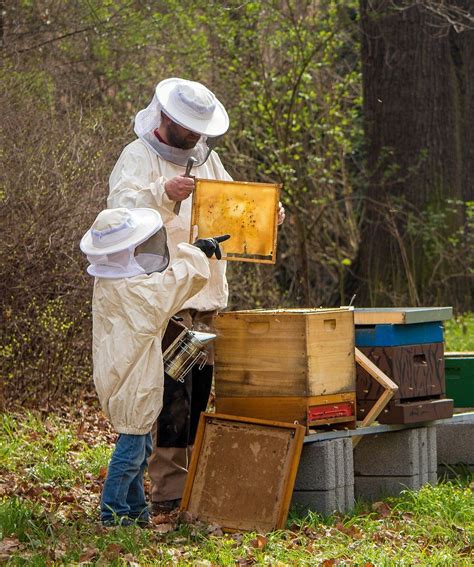 How To Find Your Local Beekeepers Pixies Pocket