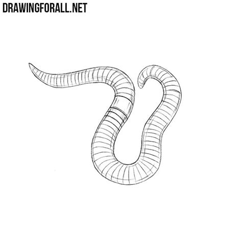 Drawing For All — How To Draw A Worm