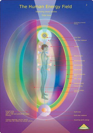 Energetic Anatomy A Complete Guide To The Human Energy Fields And