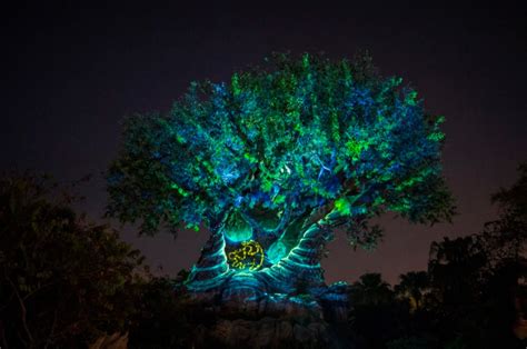 Walt Disney World Shares Images Of New Lion King Inspired Tree Of Life