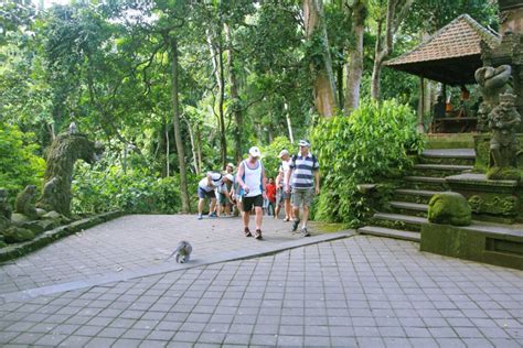 Ubud Monkey Forest Bali Places Of Interest