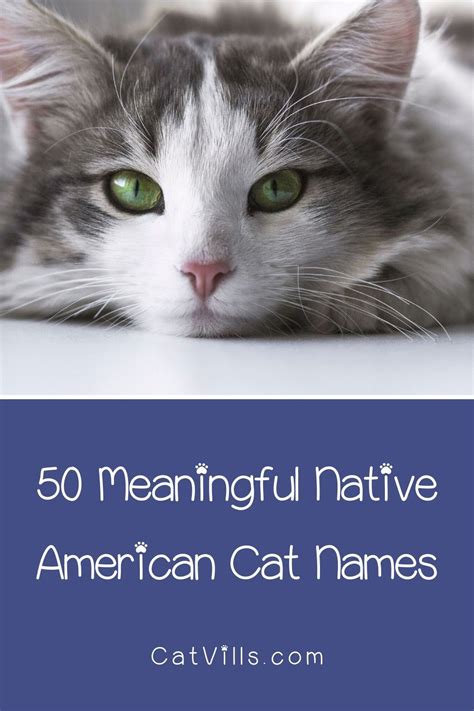 Native American Cat Names Cat Names Cats Cute Cats And Kittens Pictures