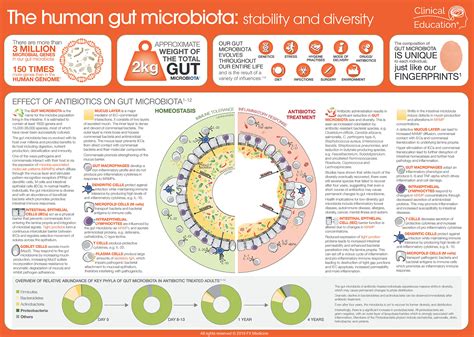 The Human Gut Microbiota Clinical Education