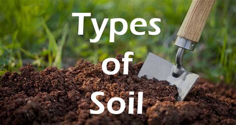 Types Of Soil Engineeringuru