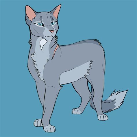 Warrior Cat Bluestar Drawing
