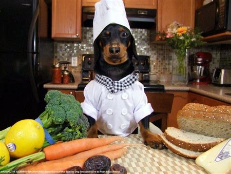 Need Halloween Inspiration Take A Cue From Crusoe The Celebrity