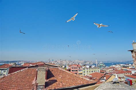 Astonishing View Of Istanbul Beautiful View Of Historic Center Of