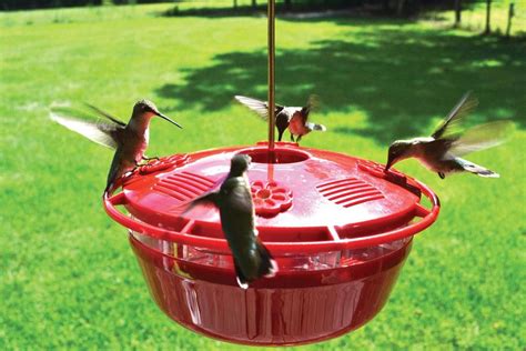 Humm Yumm Nectar Feeders Hummingbird Dream Backyard Garden