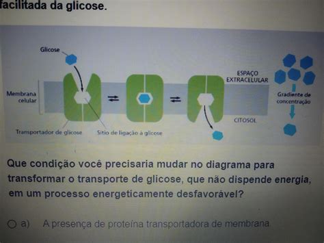 Explique Por Que A Taxa De Concentração De Glicose