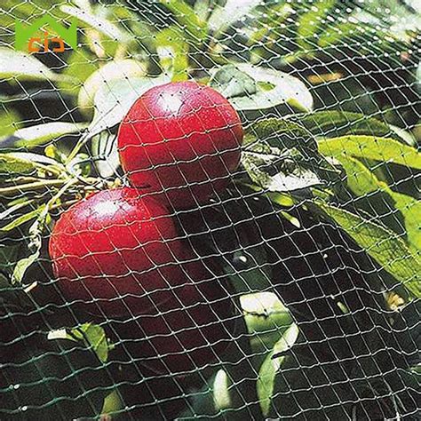 Wcic Bird Net Garden Mesh Protect Gardening Fruit Tree Vegetable