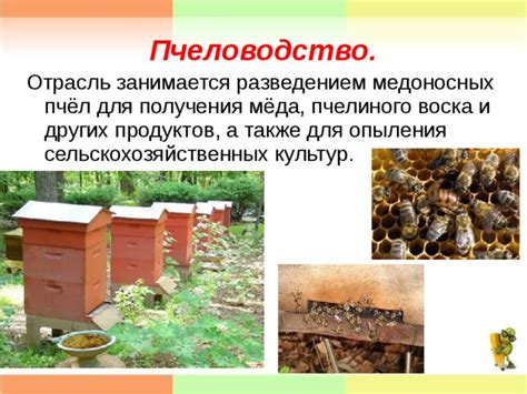 Презентация "Животноводство" - Окружающий мир - Презентации - 4 класс