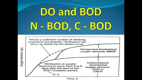 Dissolved Oxygen DO And Biochemical Oxygen Demand BOD DO BOD