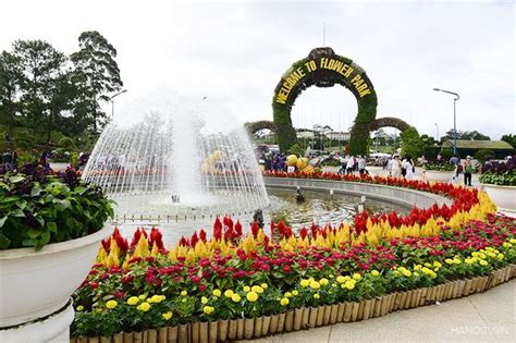 Top 50 Mẫu Nhà Vườn Hoa Đà Lạt đẹp Nhất