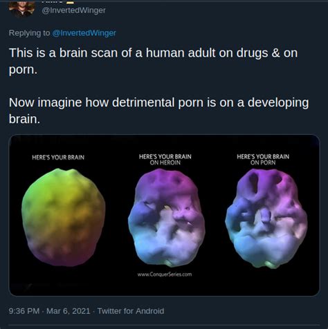 Este Es Tu Cerebro Con Porno