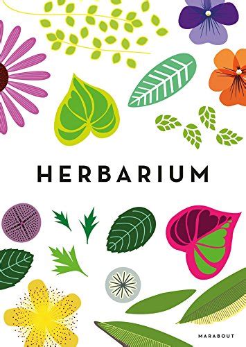 Herbarium mit 10 wiesenpflanzen mit wurzel und blüte preis: Herbarium Deckblatt Vorlage Zum Ausdrucken