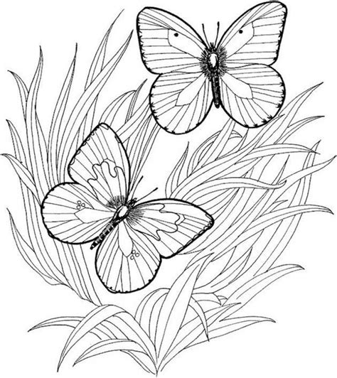 Encourage your child's imagination skills with these beautiful butterfly coloring pages printable, which depict them in various shapes and sizes. Get This Adult Butterfly Coloring Pages to Print at46f