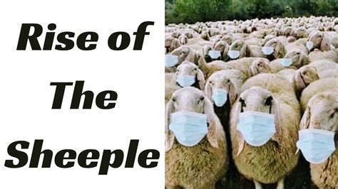 The Sheeple Dot Standing People Youtube