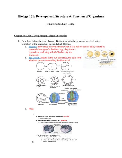 Biology 131 Final Exam Study Guide Spring 2019 3147 Biology 131