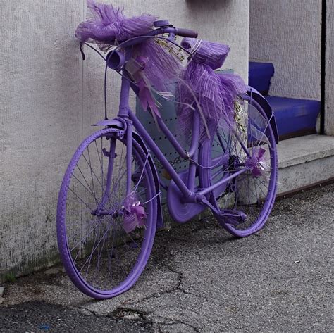 Purple Bicycle Michele Calabretta Flickr
