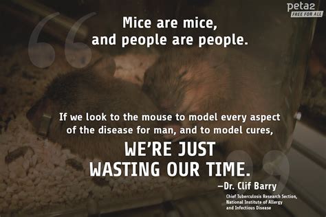 Expert On Animal Testing Quotes Quotesgram