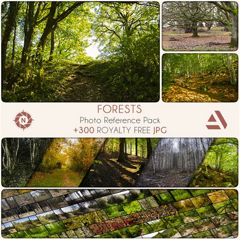 Artstation Photo Reference Pack Forests Resources
