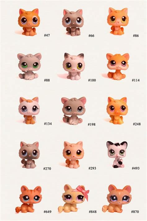 The Different Types Of Babe Kittens Are Shown In This Image Including One With Big Eyes