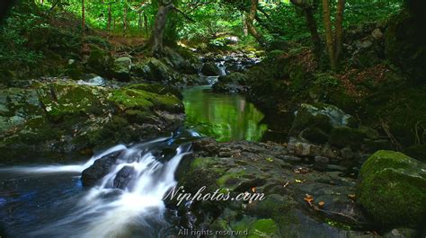 The Fairy Glen Rostrevor County Down Northern Ireland World