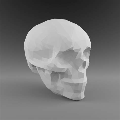Skull 3d Model Low Poly Skull Head Human Anatomy 2019 Bone 3d Model Cgtrader