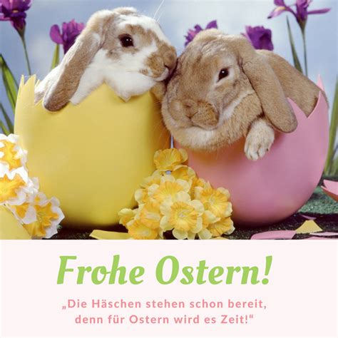 Frohe Ostern Lustig Hasen Guten Morgen Easter Spring Happy Frohe