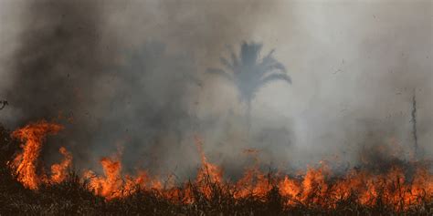 En Amazonie, le feu qui cache la déforestation