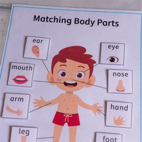 Body Parts Matching Activity Printable Toddler Busy Book Etsy Sweden
