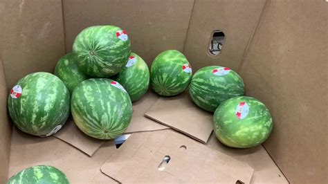Panic buying in the financial markets is typically evidenced by a spike in volume with the majority of investors seeking buy positions. Panic Buying Watermelons - YouTube