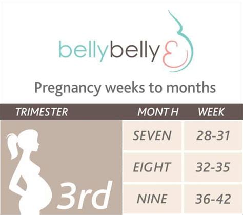 33 Weeks Pregnant Symptoms Belly And Birth Plan
