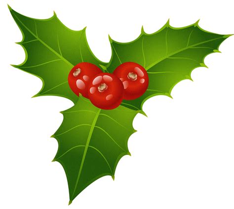 We did not find results for: Christmas Mistletoe PNG Clipart | Gallery Yopriceville ...