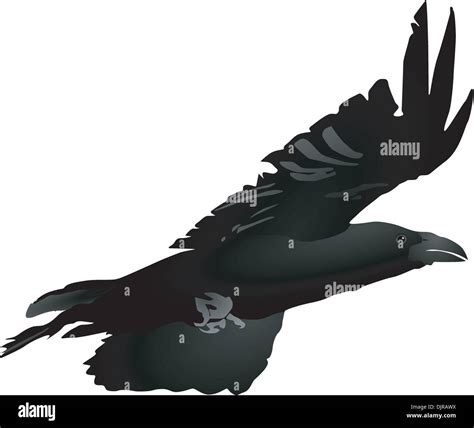 Vector Image Of A Flying Crow Stock Vector Image And Art Alamy