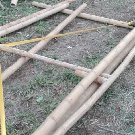 Colombia House Estructura Para Vivienda Bambusa Estudio Bamboo