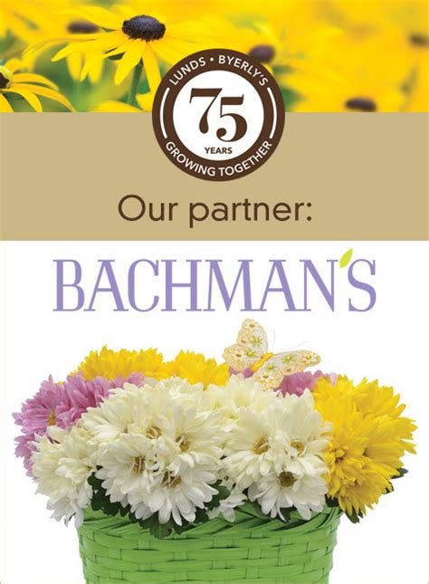 Bachmans Flowers Flower