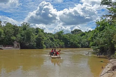 Apenas 16 Do Desmatamento Na Amazônia Ocorreu Em Territórios