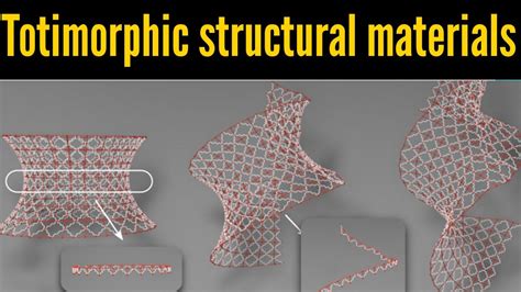 Shape Shifting Materials With Infinite Possibilities Totimorphic