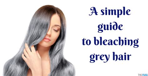 Bleaching Grey Hair White How To Get Silver Hair Without Bleach At