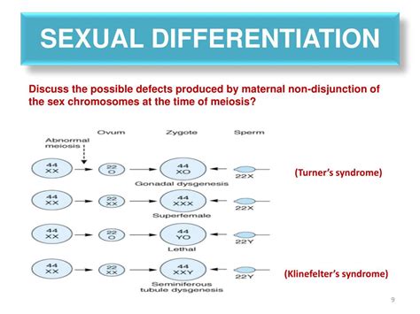 Ppt Physiology Tutorial Powerpoint Presentation Free Download Id