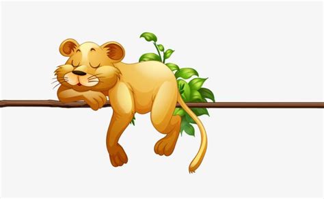 Vector Cute Sleeping Lion Sleeping Lion Cute Cute Clipart